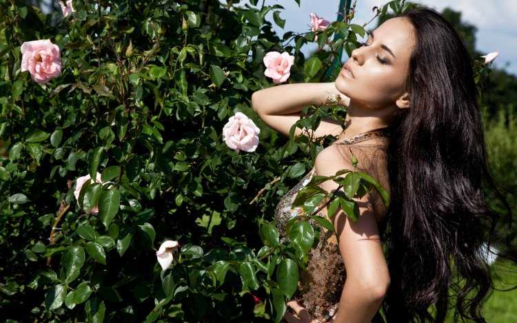 Девушка с розой