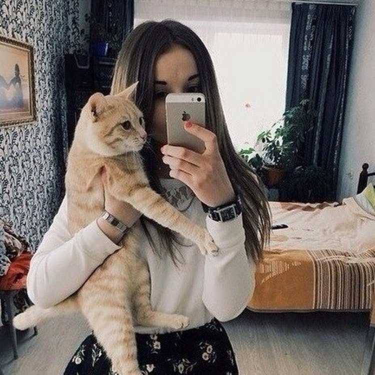 Селфи с котом без лица