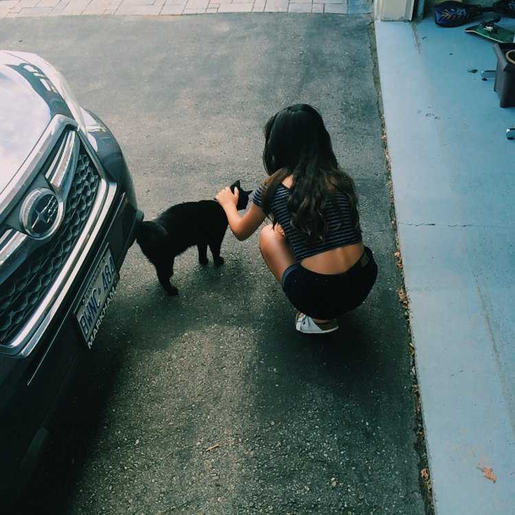 Брюнетка со спины с кошкой