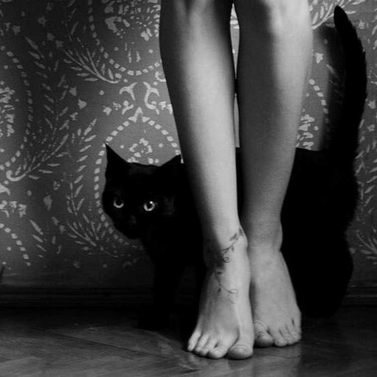 Черная кошка у ног