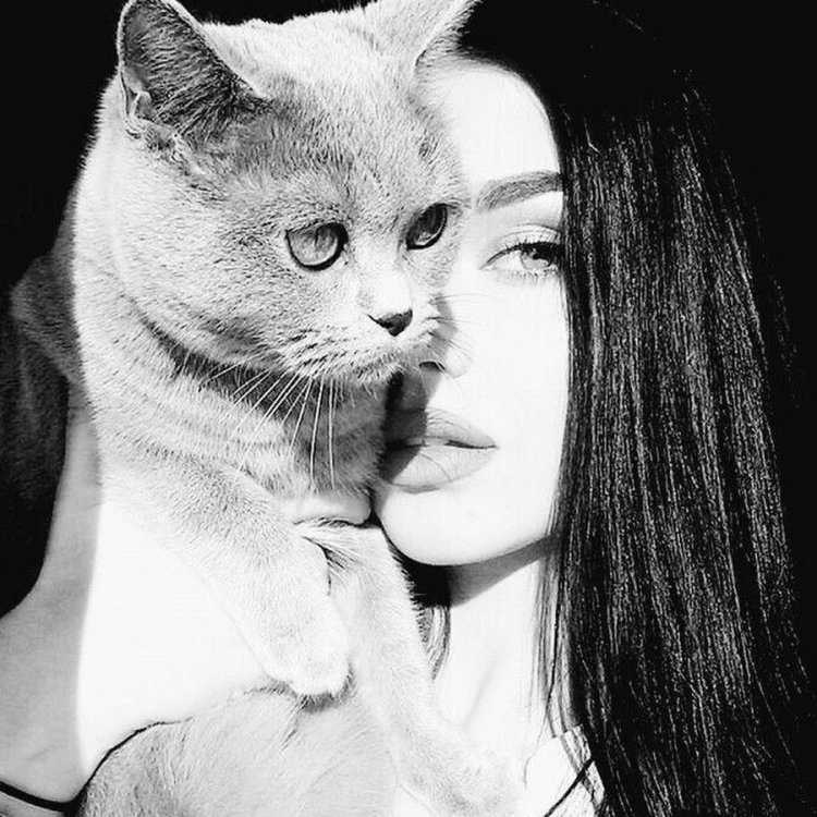 Брюнетка с кошкой