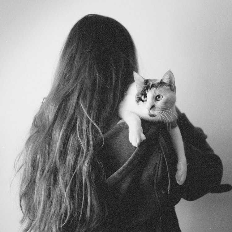 Красивые девочки с закрытым лицом