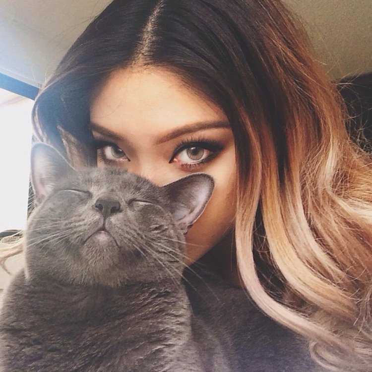 Кошка шатенка