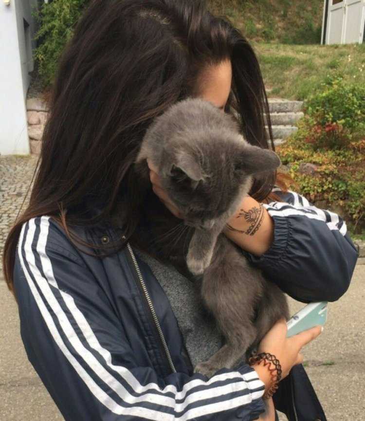 Брюнетки с котиками32