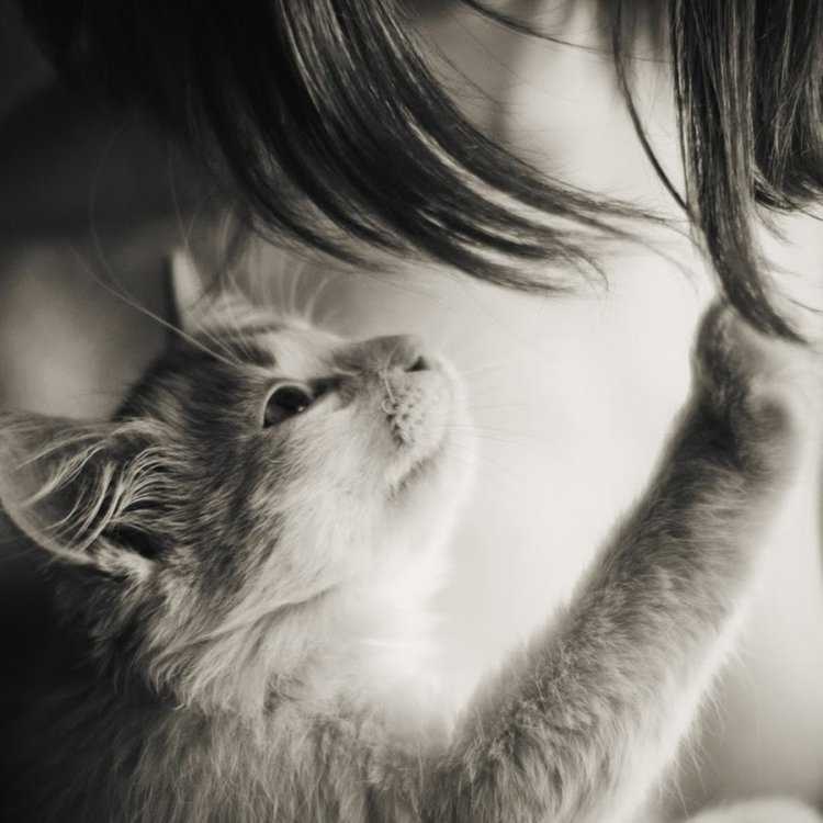 Женщина с котенком