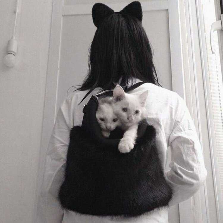 Девушка с белым котом без лица