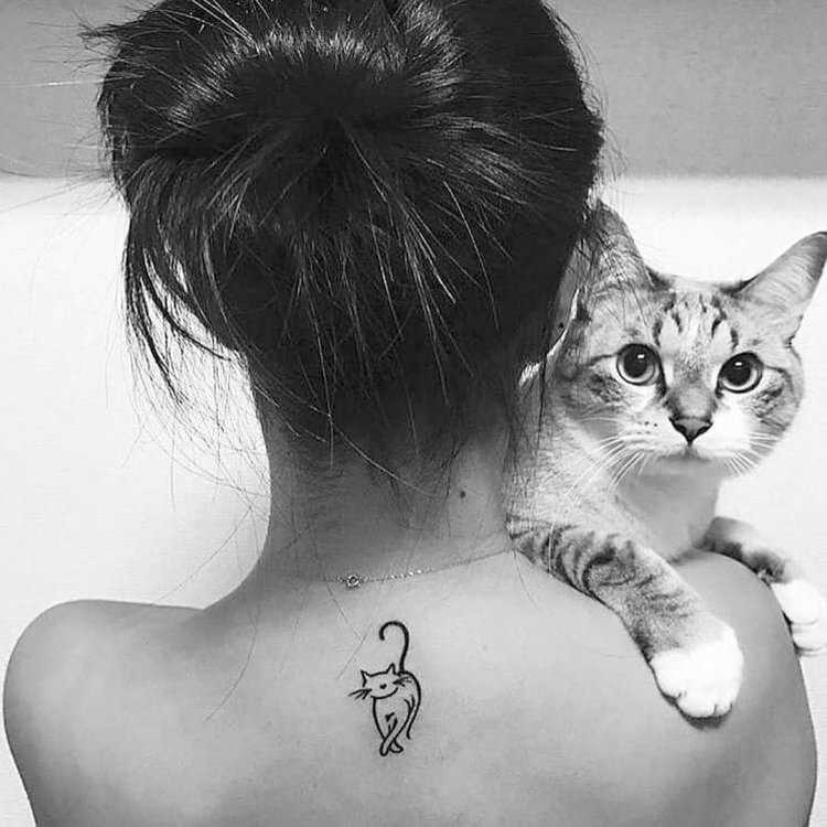 Брюнетки с котиками71