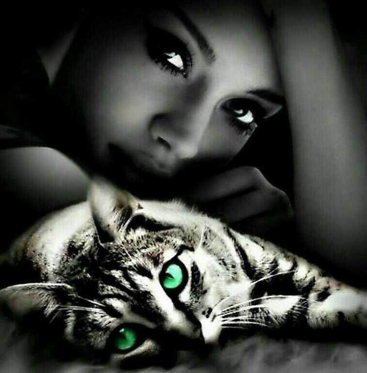 Девушка с кошачьими глазами