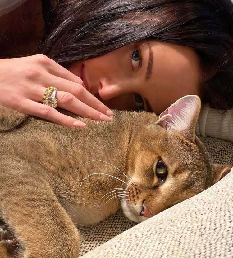 Анастасия Решетова кольцо