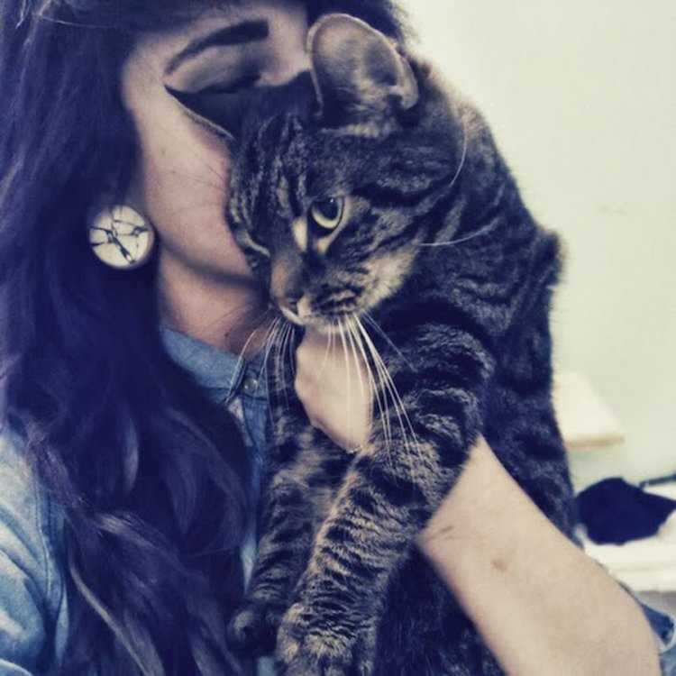 Брюнетка с котом