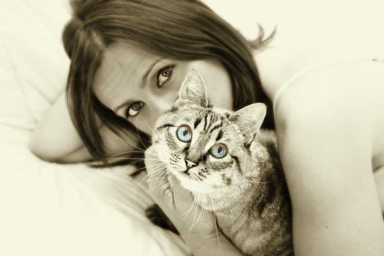 Девушка с котом