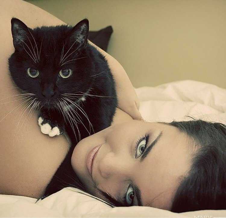 Красивая девушка с котом