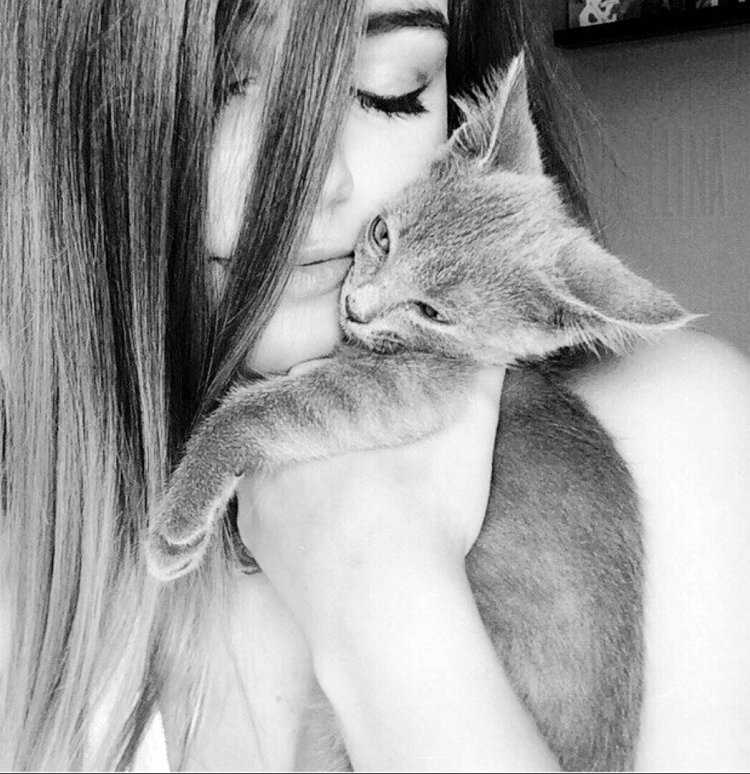 Брюнетки с котами