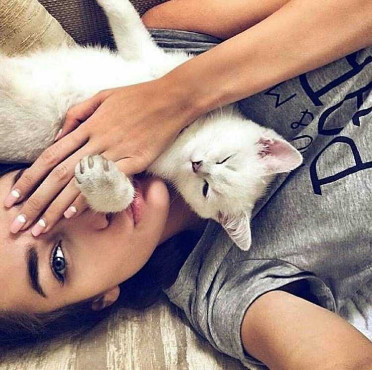 Красивая девушка с котом