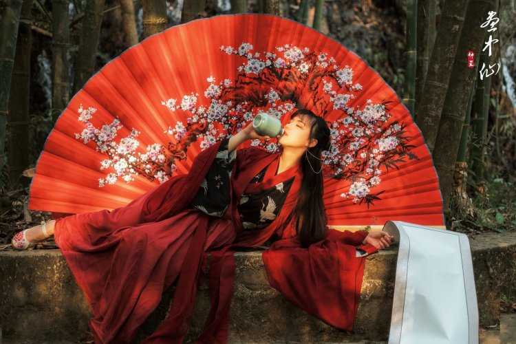 Гейши в Китае