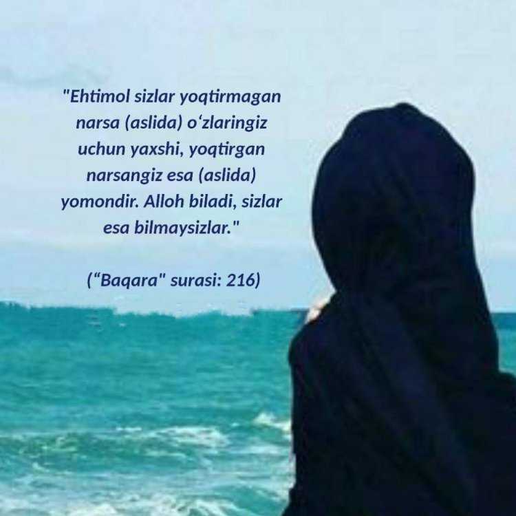 Девушка в хиджабе со спины у моря