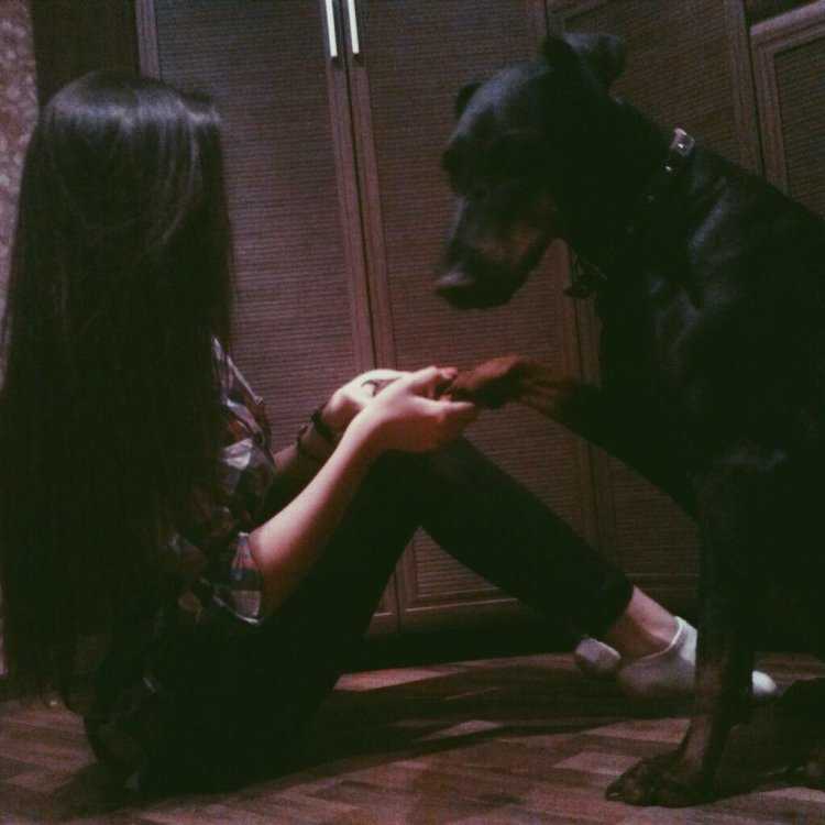 Девушка с псом без лица