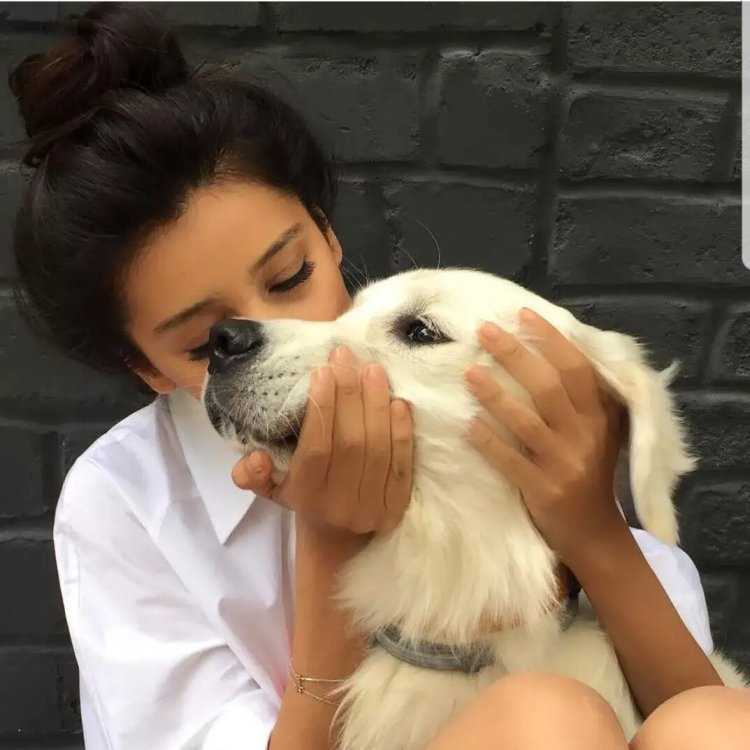 Девушка с собакой на аву