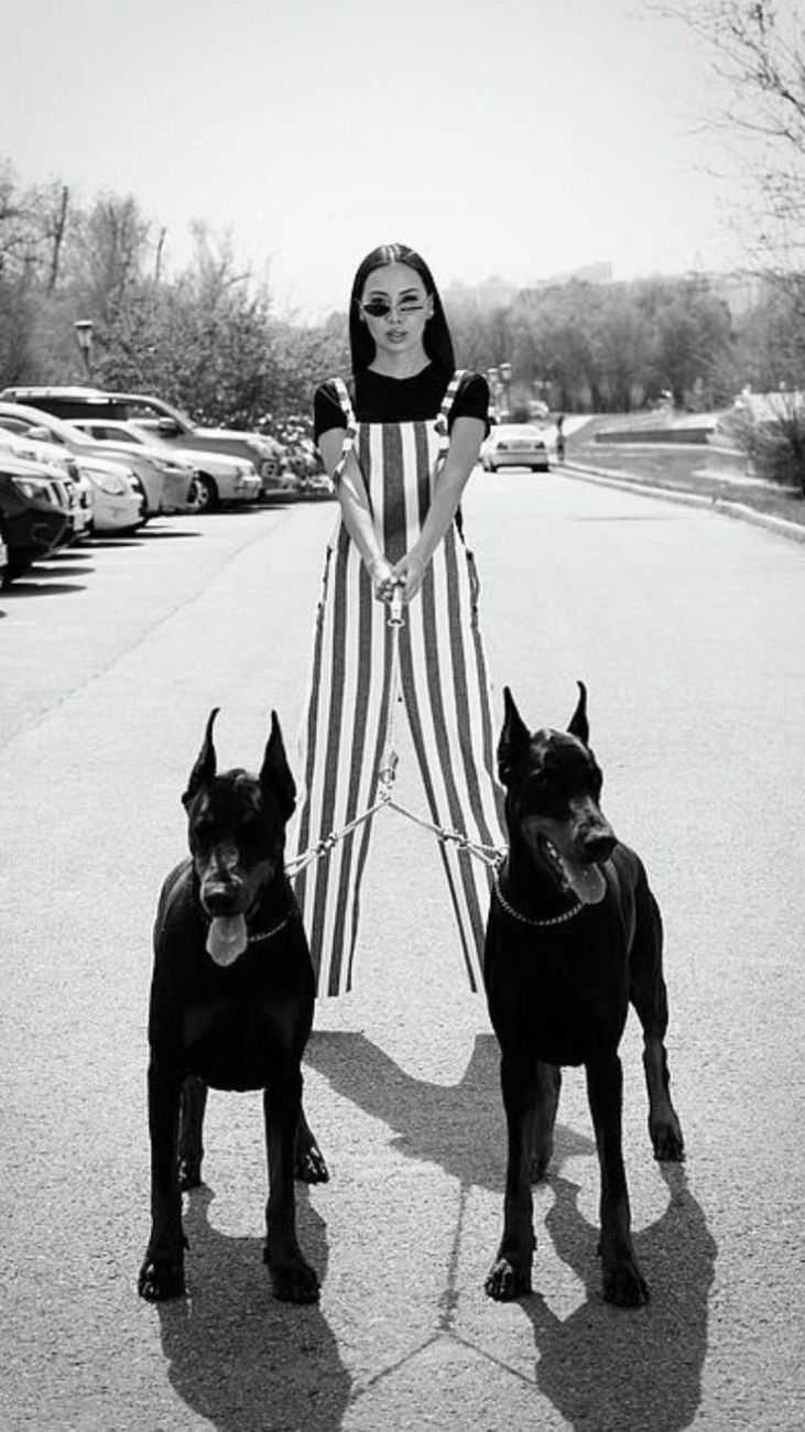 Доберман девочка