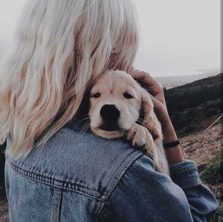 Блондинка с собачкой