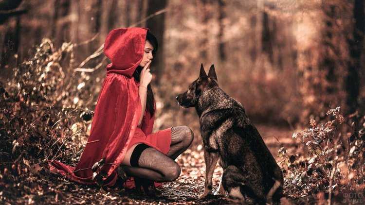 Фотосессия с собакой в лесу