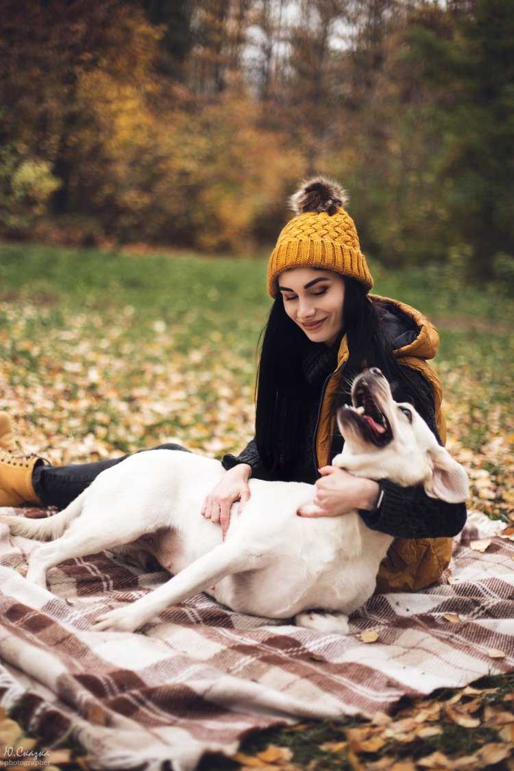 Фотосессия с собакой