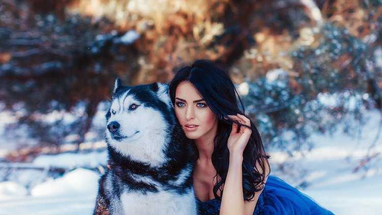 Красивая девушка с хаски