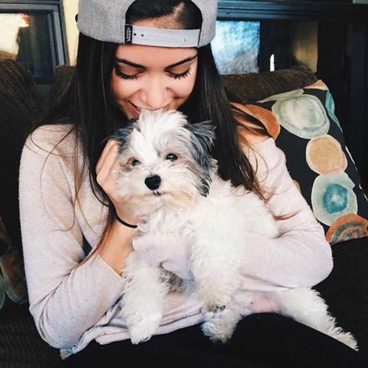 Красивые брюнетки с собачками