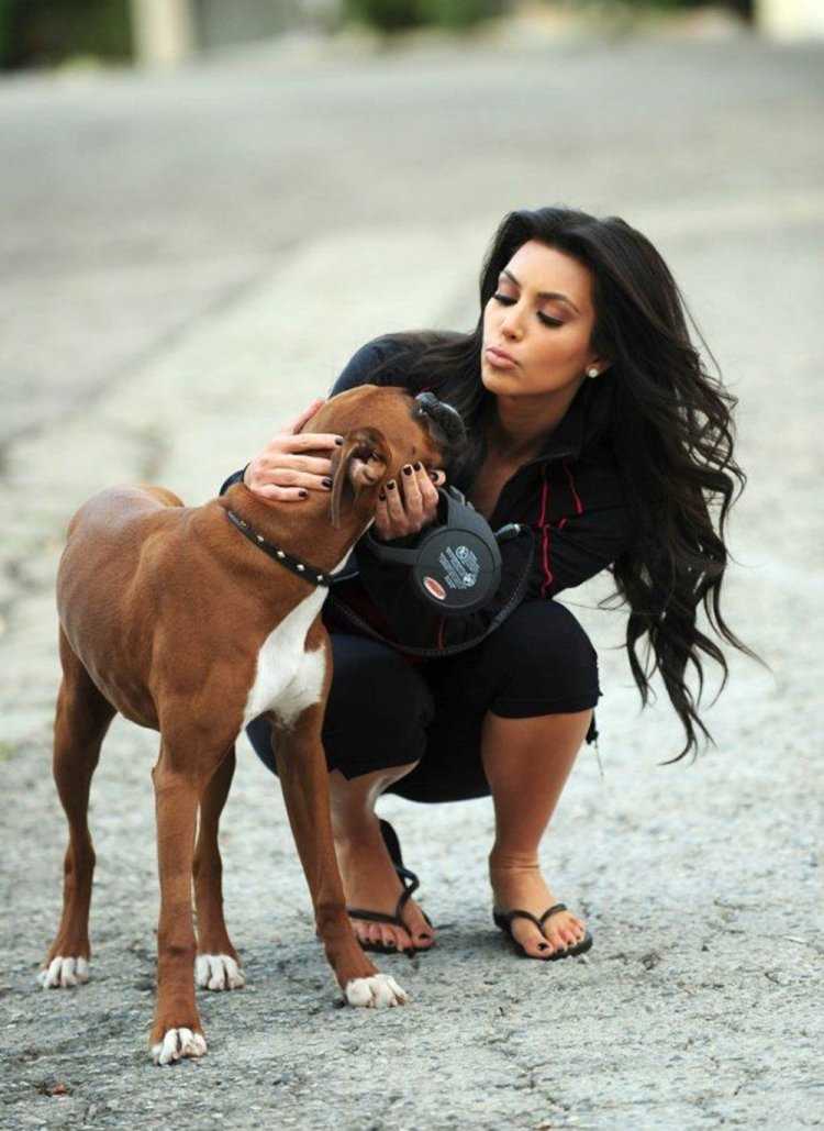 Доберман и Кардашьян