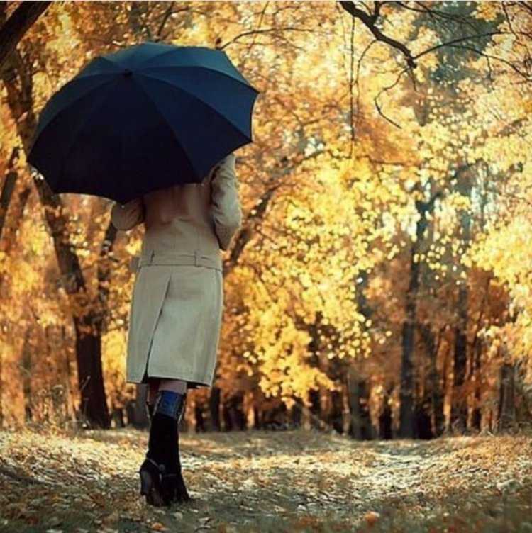 Девушка с зонтом брюнетка44