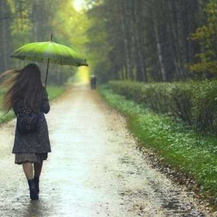 Девушка под зонтом в дождь со спины