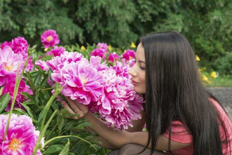 Женщина с пионами в саду