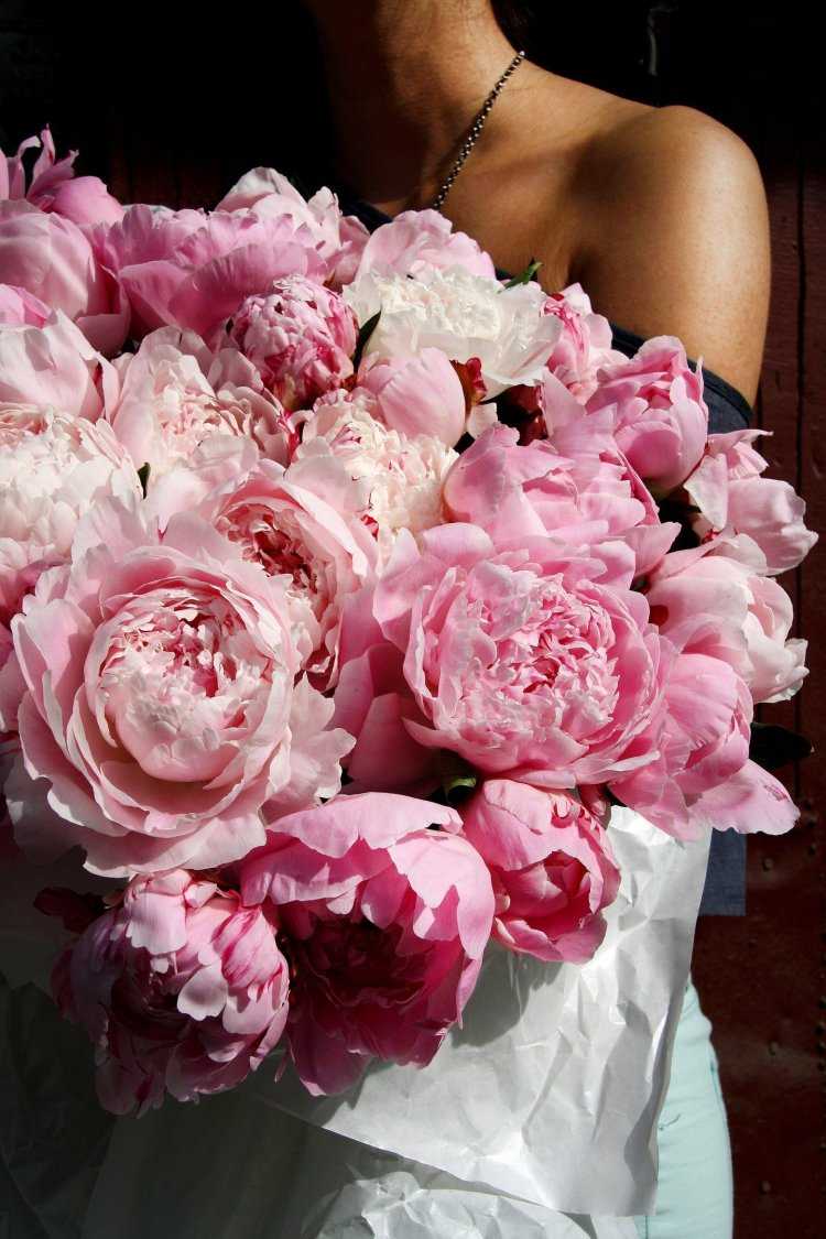 Пион Юбилейшн