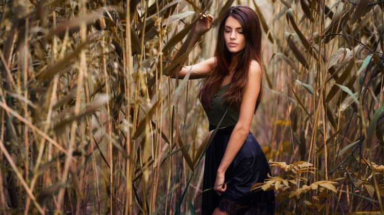 Девушка в камышах