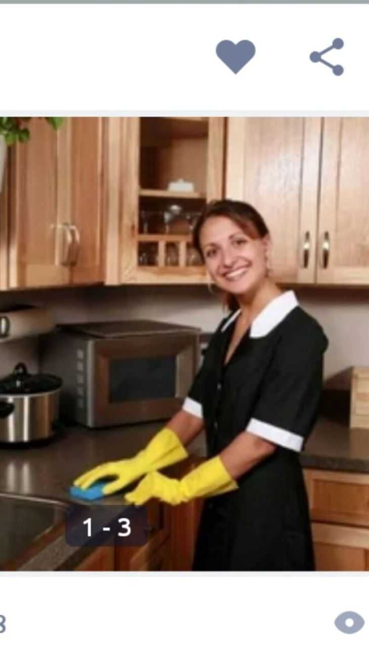 Домработница передача