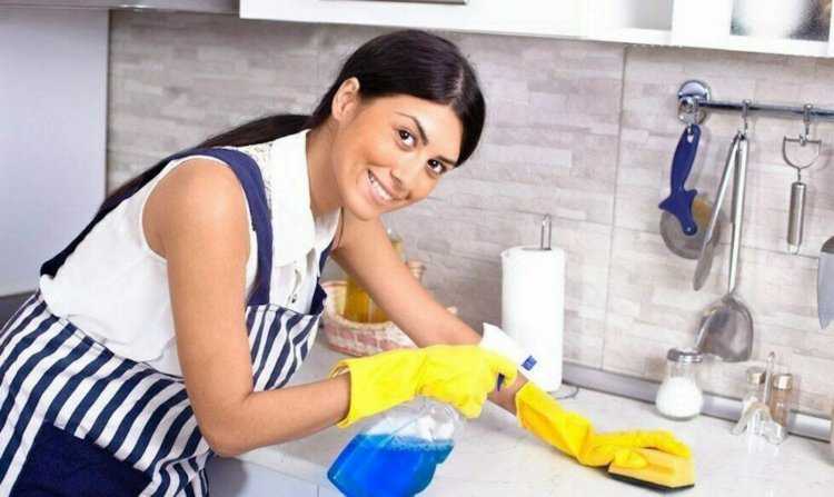 Домработница