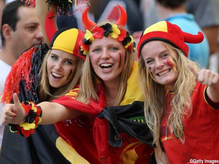 Бельгия фламандцы и валлоны