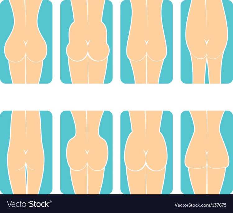 Формы женских ягодиц