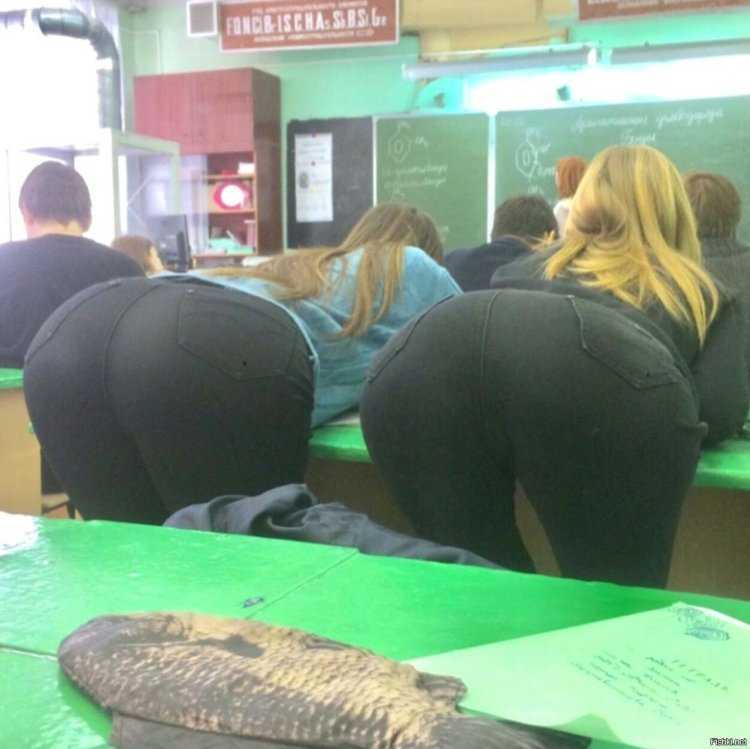 Самые красивые попки в школе