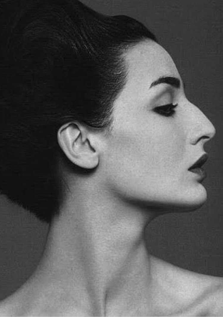 Греческий профиль с горбинкой