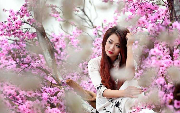 Черри блоссом девушка