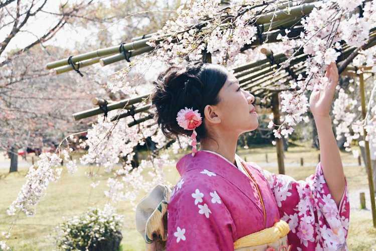 Японское гостеприимство