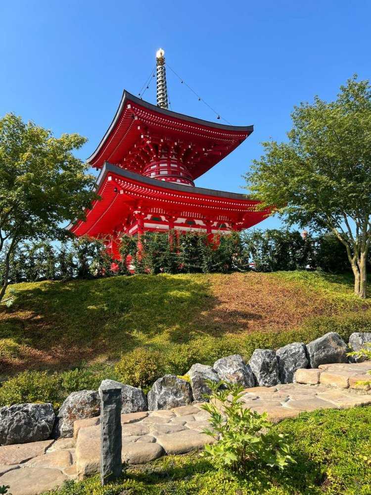 Японки на прогулке30