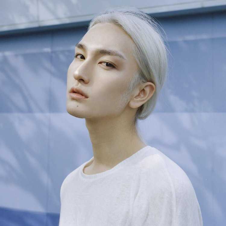 Е Чжи Цзянь модель