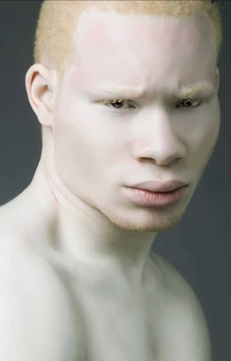 Сэр Маджор пейдж