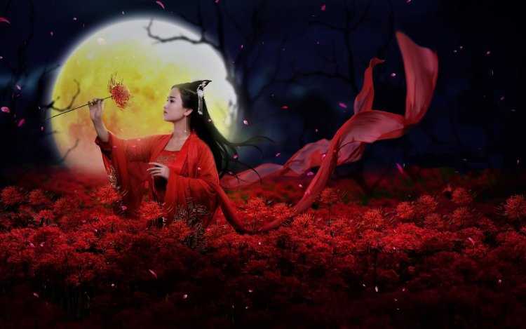 Арты бесплатно Луна цветы и девушки