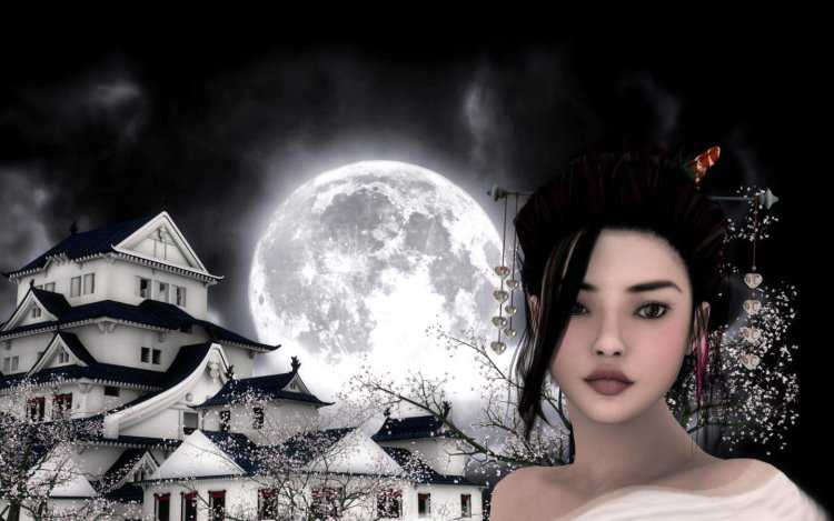 Лунное лицо