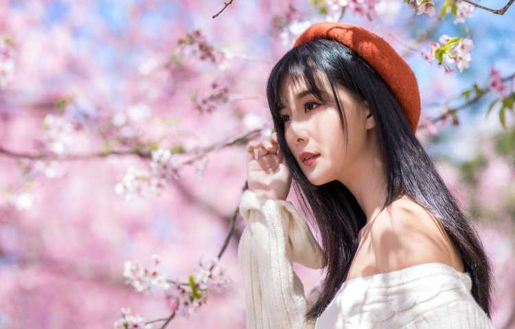 Девушка и Сакура