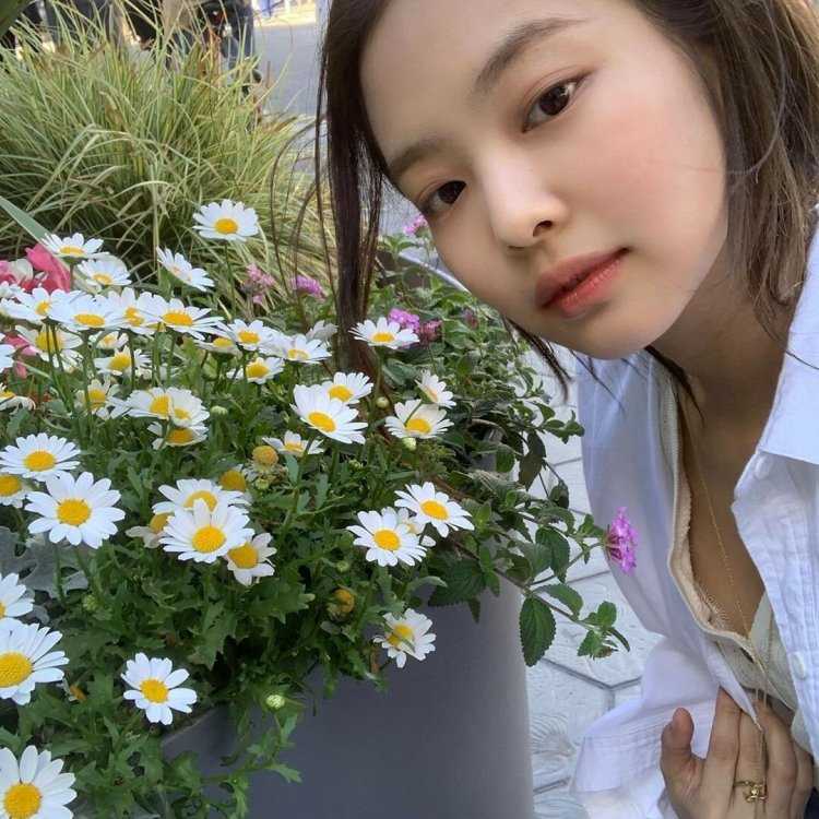 Ромашки Дженни