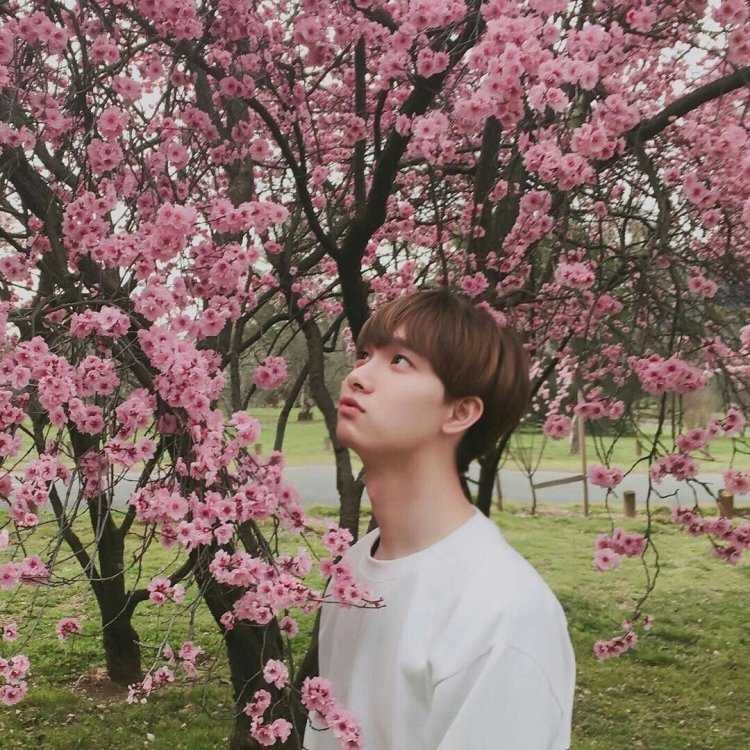 Корейцы БТС Эстетика